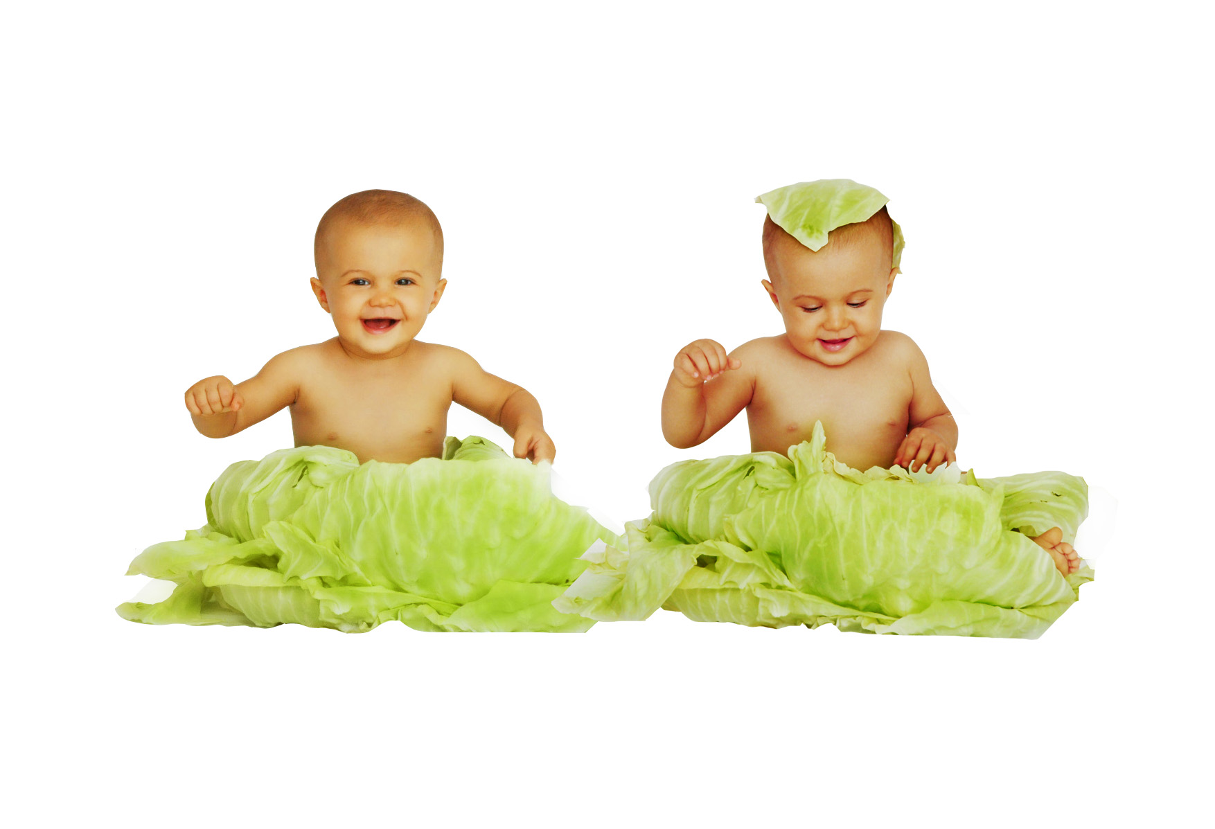 baby_cabbage